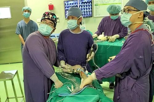 Lần đầu tiên triển khai thành công phẫu thuật nội soi ghép sụn khớp nhân tạo tại Việt Nam