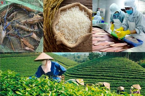 Chuyện 'lạ' của ngành Công Thương: Hàng sản xuất được thì nhập khẩu, hàng đang thiếu lại xuất khẩu