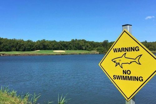 Kinh hãi sân golf nằm sát đầm cá mập hung hãn tại Australia
