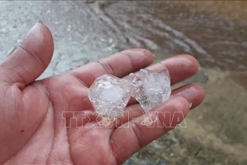 Nguyên nhân xảy ra mưa đá bất thường tại Thành phố Hồ Chí Minh