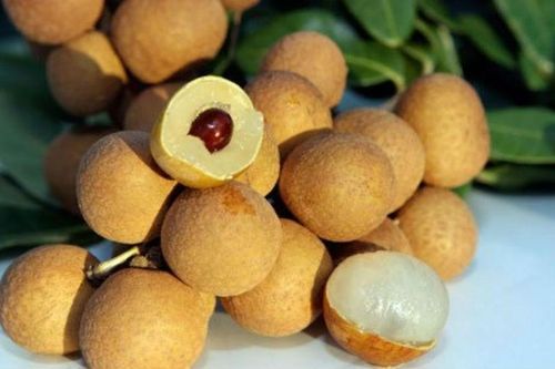 Xuất khẩu trái cây sang Trung Quốc: Kiểm soát chặt các đối tượng dịch hại từ gốc