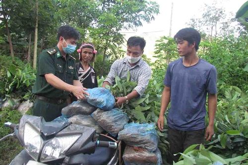 Chính trị | Học tập, làm theo Bác TRUYỀN HÌNH INTERNET Lai Châu qua ảnh