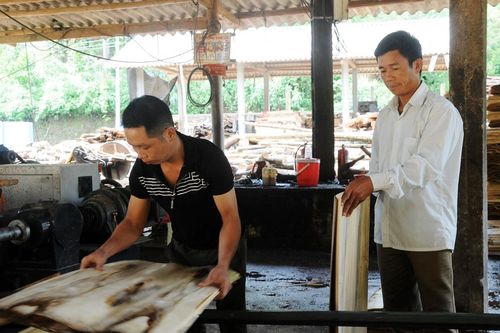Nông dân thi đua làm giàu