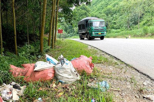 Cần xử lý hành vi vứt xác động vật ra môi trường