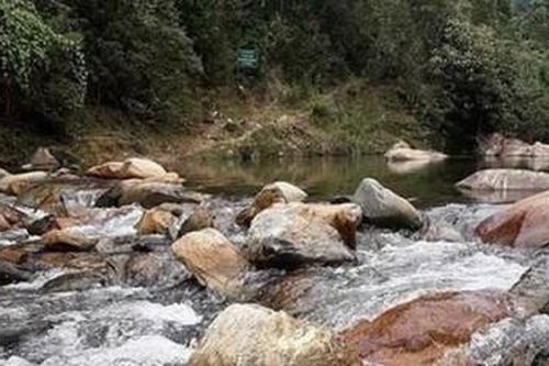 Chính trị - Xã hội Pháp luật - Cuộc sống Bắt nghi phạm sát hại người đàn ông ở xã Hồng Hạ