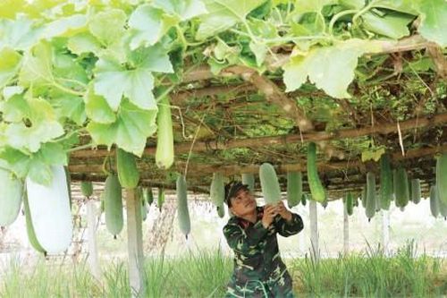 Đời sống Nâng cao đời sống cho bộ đội