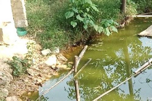 Con trai đi theo không biết, bố điếng người khi thấy con chết đuối dưới ao trong vườn