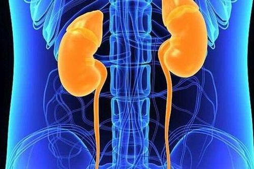Liệu pháp bổ trợ tăng khả năng sống sót cho người ung thư biểu mô tế bào thận