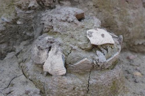 Góc nhìn 365: Nửa thế kỷ di chỉ Vườn Chuối
