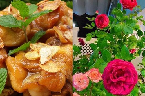 Tạo nguồn năng lượng tích cực khi giãn cách xã hội phòng dịch Covid-19