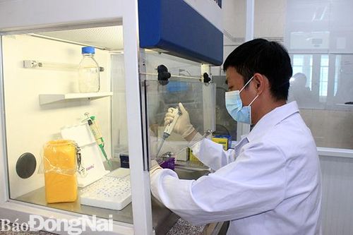 Đồng Nai: Nếu để một hộ dân nào đói, Bí thư cấp ủy phải chịu trách nhiệm