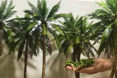 Người lưu giữ hồn quê Việt Nam