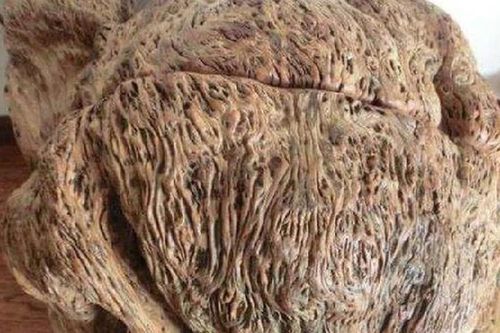 Bán khúc gỗ lạ, ông lão hối không kịp tuột mất báu vật triệu đô