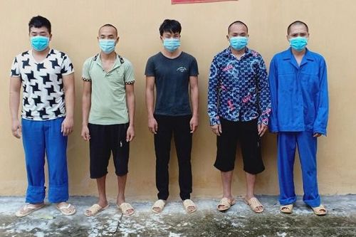 Hà Giang: Khởi tố, bắt giam 5 đối tượng phá rừng ở Bắc Mê