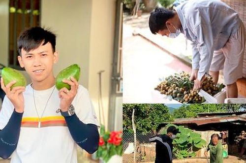Nghỉ dịch, nhiều bạn trẻ về quê làm nông chăm vườn phụ giúp bố mẹ