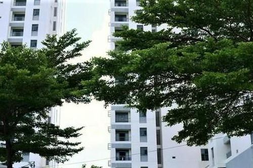 300 giường tại bệnh viện dã chiến dành riêng cho tăng, ni TPHCM