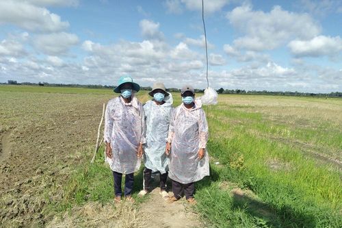 Đồn Biên phòng Cửa khẩu Vĩnh Hội Đông phát hiện 3 đối tượng nhập cảnh trái phép