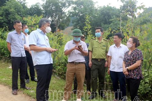 Kiểm tra việc giao đất, giao rừng tại xã Xá Nhè, huyện Tủa Chùa