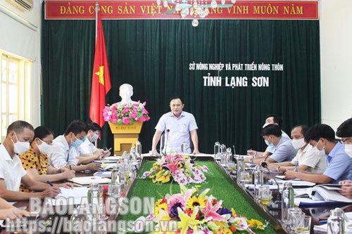 Lãnh đạo UBND tỉnh làm việc tại Sở Nông nghiệp và Phát triển nông thônTin khácCách mạng Tháng Tám thành công - đánh dấu thắng lợi đầu tiên cho con đường Hồ Chí Minh lựa chọnKết nối các nguồn lực chuẩn bị cơ sở vật chất cho năm học mới