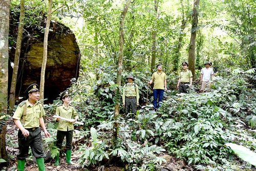 Phòng, chống thiên tai tại Tuyên Quang: Những giải pháp hiệu quả, bền vững