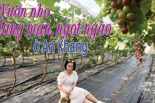 Vườn nho lãng mạn, ngọt ngào ở An KhangThủ đô Khu giải phóng xưa và nayNét đẹp nữ phục Dao ở Trung MinhVề Bum Kẹn xem người Nùng nhuộm chàmDu lịch Bản Ba chờ thời...Chuyện ở các chốt kiểm dịchKhởi nghiệp mùa Covid