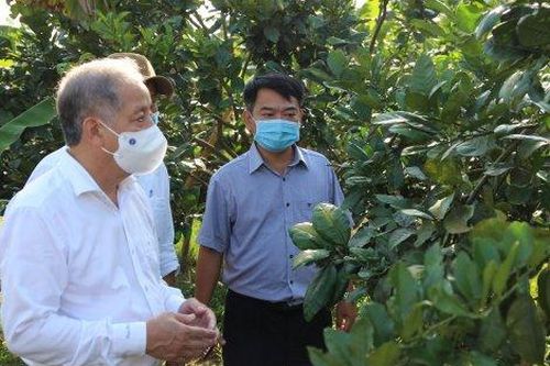 Chính trị - Xã hội Theo dòng thời sự Kiểm soát tốt tình hình dịch bệnh, duy trì sự ổn định của nền kinh tế