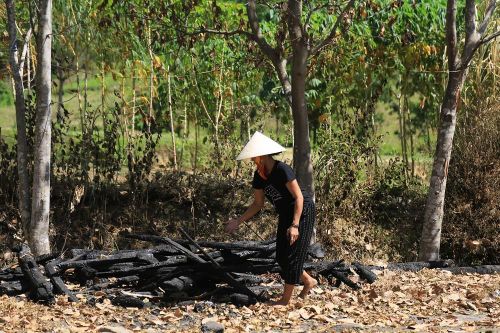 Nữ sinh lớp 8 đốt hàng loạt nhà chứa rơm để trả thù