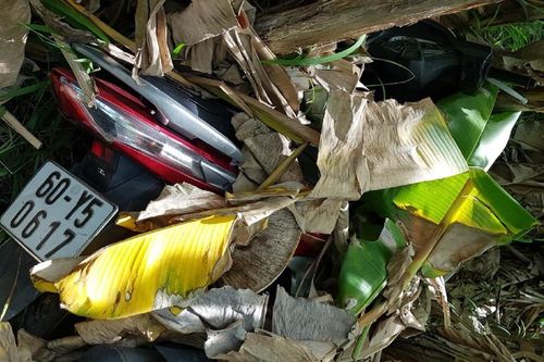 Kẻ trộm giấu xe tay ga ở vườn chuối