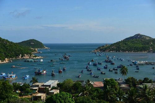 Hé lộ 'kho báu' vô giá trời ban ở vườn quốc gia Núi Chúa