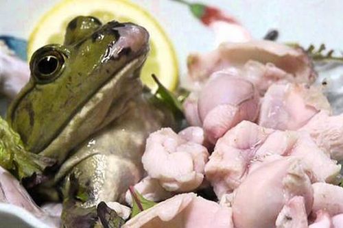 Kinh dị những món ăn quằn quại cho đến chết trên bàn tiệc