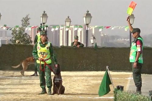 Đội tuyển chó nghiệp vụ Quân đội nhân dân Việt Nam hoàn thành 2 bài thi Đua chó và Vượt qua chướng ngại vật 300m