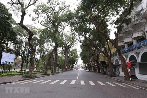 Bộ Lao động đề nghị hỗ trợ khẩn cấp nơi ở cho người lang thang, cơ nhỡ