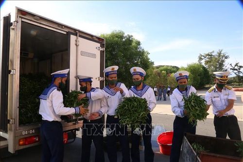 Vùng 4 Hải quân tích cực hỗ trợ các tỉnh, thành phía Nam