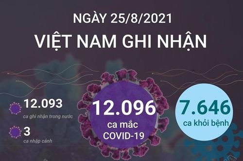 Ngày 25/8/2021, Việt Nam ghi nhận 12.096 ca mắc COVID-19, có 7.646 ca khỏi bệnh