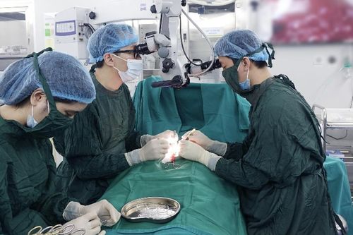 Cặp vợ chồng vỡ òa trong hạnh phúc sau 4 năm nhọc nhằn tìm 'con giống'