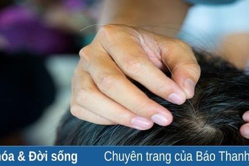 Nào phải tóc … 'sâu'