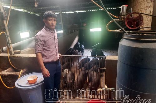 Chủ tịch Hội Nông dân làm kinh tế giỏi