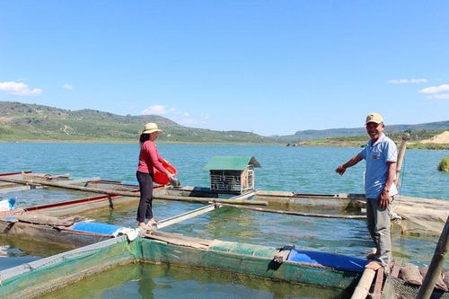 Nghề mới của người dân Tân Nghĩa