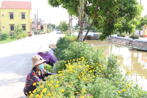 Đảng bộ xã Khánh Cường, chuyển biến sau 5 năm thực hiện Chỉ thị 05