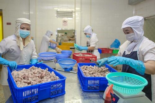 Thành phố Hồ Chí Minh: Cùng doanh nghiệp vượt khó