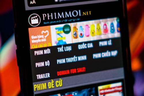 Tổ chức quốc tế ủng hộ Việt Nam khởi tố người đứng đầu Phimmoi