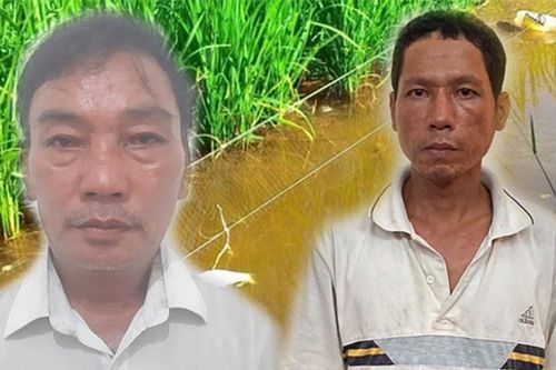 Đau lòng những vụ án bẫy chuột làm chết người