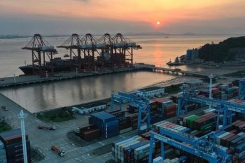 Biến thể Delta - 'Thuốc thử' liều mạnh đối với chuỗi cung ứng toàn cầu