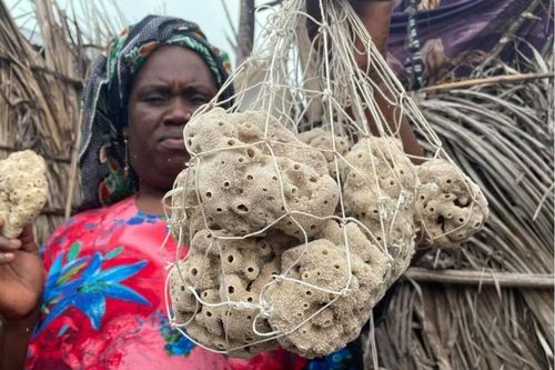 Mục tiêu kép của những người phụ nữ 'bám biển' ở Tanzania