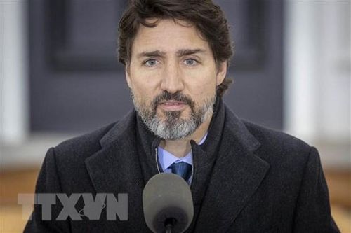 Đảng Tự do của Thủ tướng Trudeau đẩy mạnh quảng cáo trên Facebook