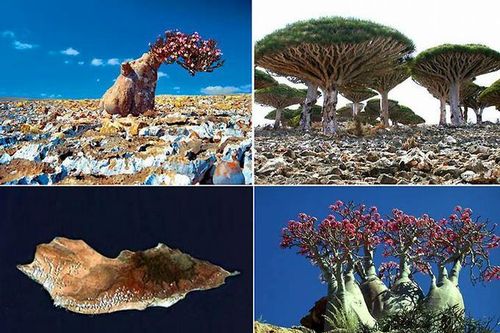 Hòn đảo ở Ấn Độ Dương đẹp ngỡ ngàng như ở hành tinh khác