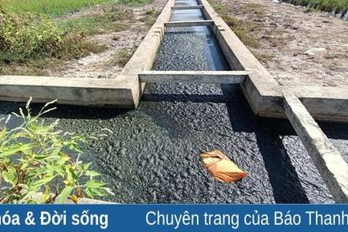 Người dân bất an khi phải sống chung với mương nước ô nhiễm