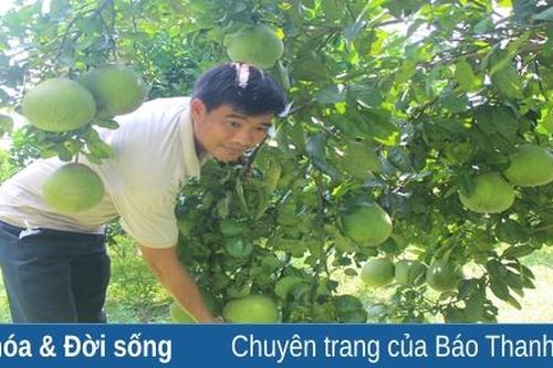 Đẩy mạnh phát triển kinh tế Hợp tác xã: Hướng đi phù hợp tại huyện Ngọc Lặc