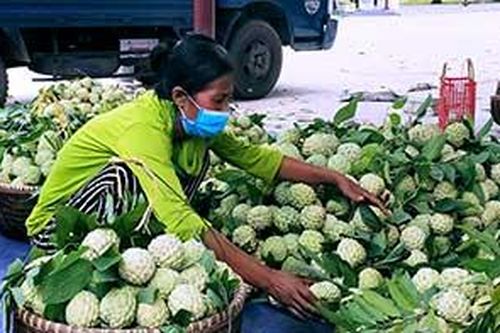 Phát triển kinh tế số tại Chi Lăng: Nhận diện khó khănTin khácCách mạng Tháng Tám thành công - đánh dấu thắng lợi đầu tiên cho con đường Hồ Chí Minh lựa chọnKết nối các nguồn lực chuẩn bị cơ sở vật chất cho năm học mới