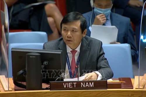 Việt Nam kêu gọi bảo đảm an ninh cho bầu cử ở IraqTin khácCách mạng Tháng Tám thành công - đánh dấu thắng lợi đầu tiên cho con đường Hồ Chí Minh lựa chọnKết nối các nguồn lực chuẩn bị cơ sở vật chất cho năm học mới